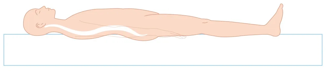 1762411538512351.jpg 630f2f8757507e2cdadb448a2154f779.jpg