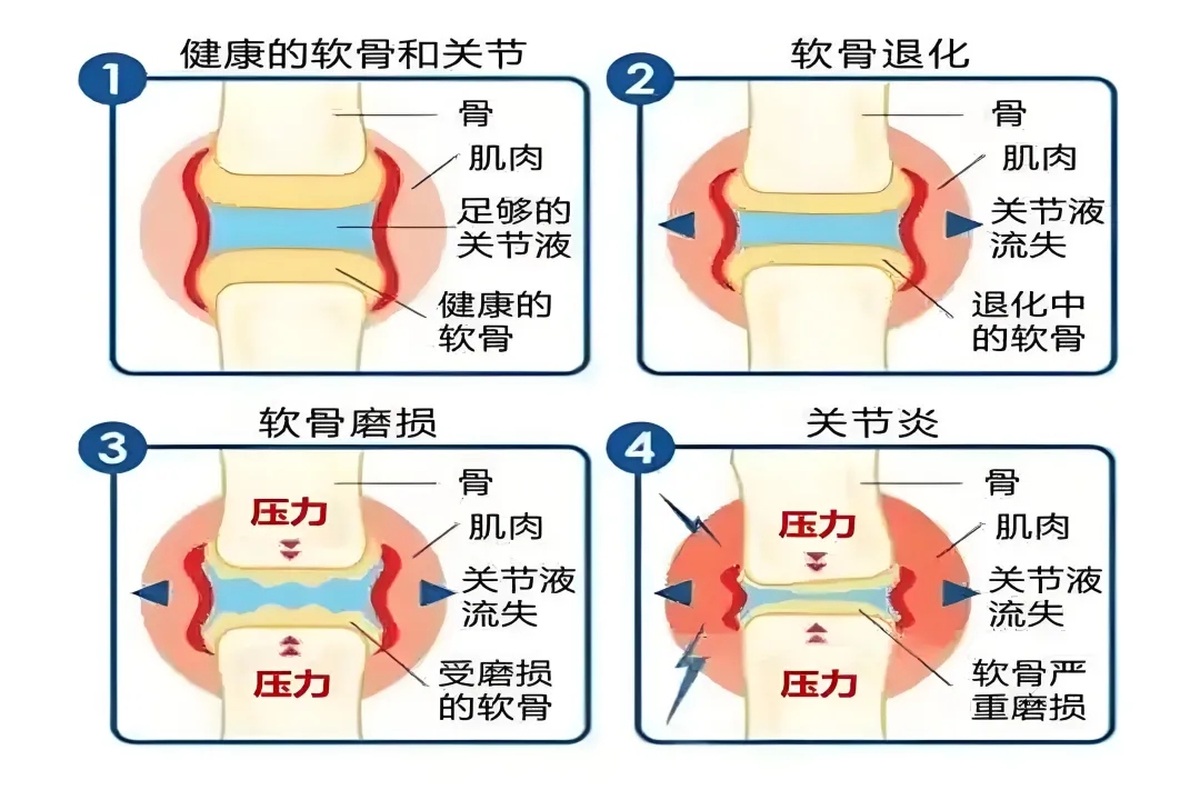 1763260898656812.jpg fac7c7f483453d38c635486ca19a9f2b.jpg